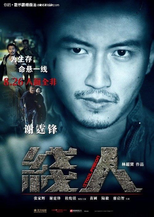 教育部学历证书电子注册备案表在哪查